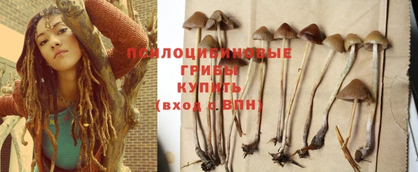 герыч Горняк