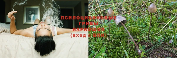 круглые Горно-Алтайск